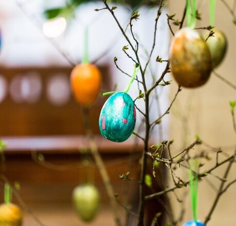 Macro close up image showing bright and colourfully hand-painted Easter eggs hanging from the branches of a tree inside a church. Horizontal colour image with copy space.