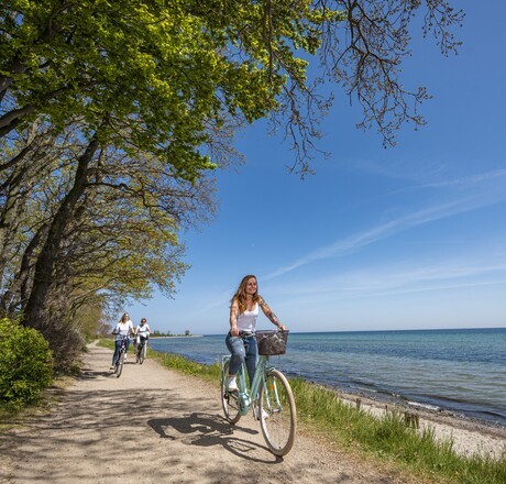 Fahrradfahrer bei einer Fahrradtour an der Küste entlang